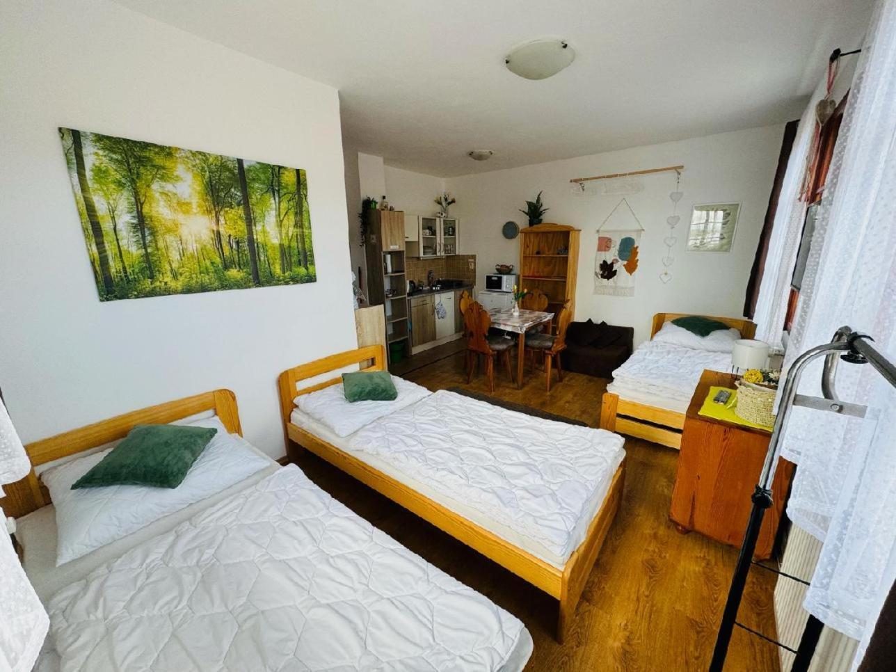 Apartmany Srub Jenisov Горни-Плана Экстерьер фото